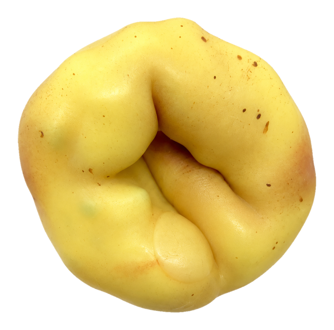 Krispy Potato Squishy