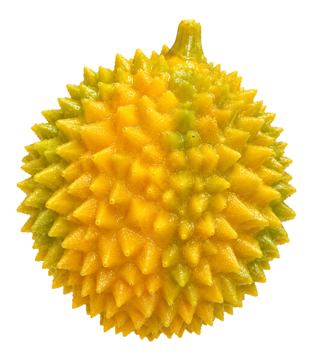 Spiky Fruit Squish – Crunchy Look