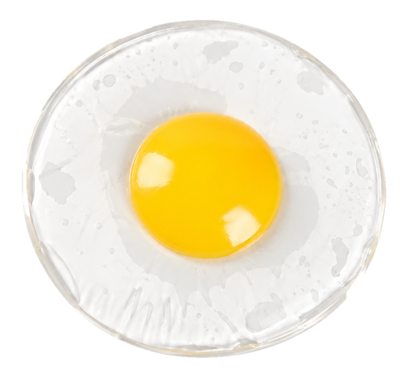 Frühstücks-Ei Squish