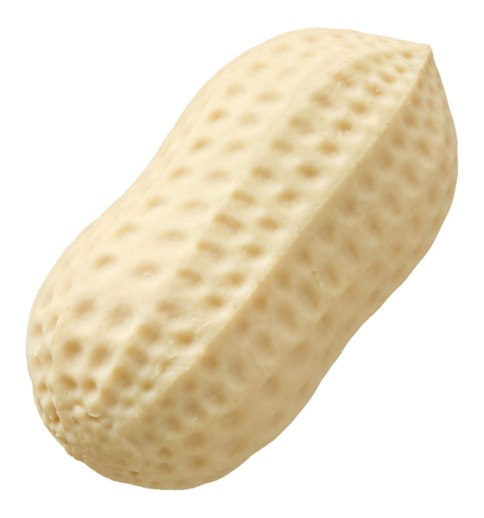 Erdnuss Squish Pod – Beige · Erdnuss · Slow Rise