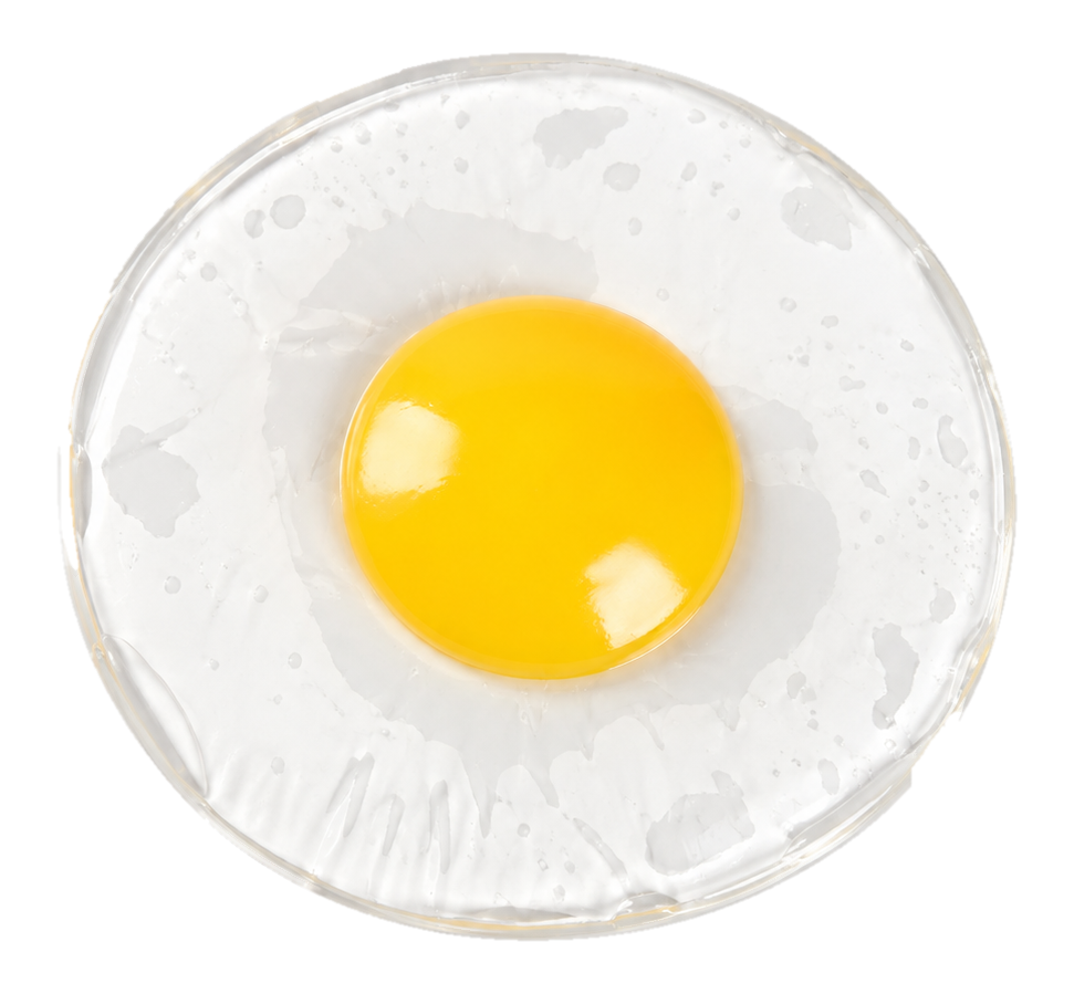 Frühstücks-Ei Squish – Weißes Spiegelei