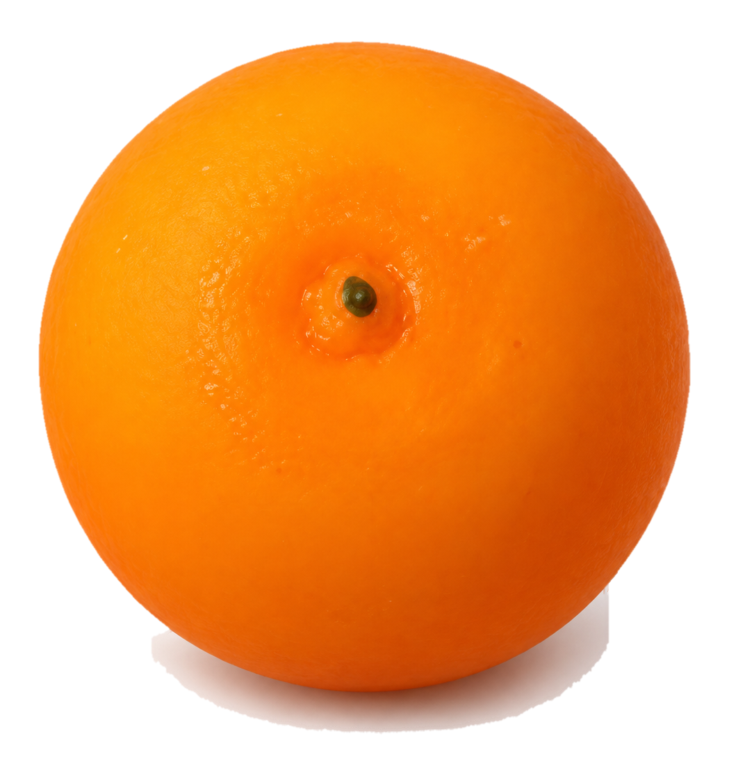 Stachelfrucht Squish – Crunchy Look – Orange